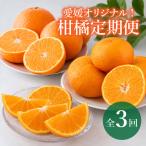 愛媛オリジナル柑橘定期便 紅まどんな 甘平