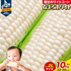とうもろこし なよろ ホワイト 10kg