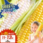 ゴールドラッシュ 黄白 とうもろこし 5kg