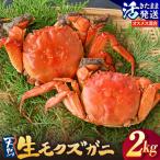 天然 活生モクズガニ 約2kg