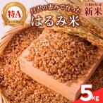 はるみ 5kg