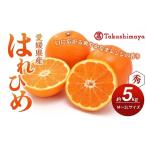 露地せとか 赤秀 青秀 約5kg