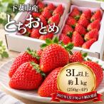 いちご とちおとめ 3L以上
