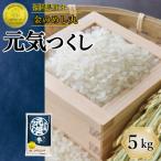 新米 令和8年産 元気つくし 5kg