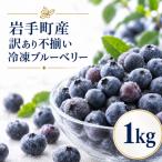 ブルーベリー 冷凍 訳あり 1kg