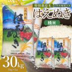 特別栽培米 はえぬき 精米 30kg
