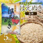 特別栽培米 はえぬき 玄米 5kg