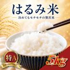 はるみ 5kg