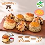 スコーン 7個セット