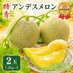 クインシーメロン 2玉