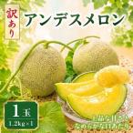 訳あり クインシーメロン 1玉