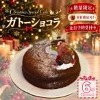 着日指定可 クリスマスケーキ ガトーショコラ