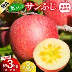 皮ごとバリッ 葉とらずサンふじ 特Aご 約3kg
