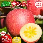 葉とらずサンふじ 訳あり 約2kg