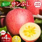 葉とらずサンふじ 訳あり 約4kg