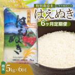特別栽培米 はえぬき 精米 5kg