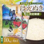 特別栽培米 はえぬき 精米 10kg