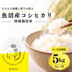 特別栽培米 魚沼産コシヒカリ 5kg
