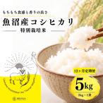 特別栽培米 魚沼産コシヒカリ 5kg