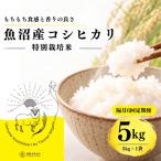 特別栽培米 魚沼産コシヒカリ 5kg