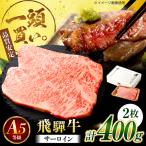 飛騨牛 サーロイン ステーキ用 400g