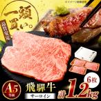 飛騨牛 サーロイン ステーキ用 1.2kg