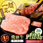 飛騨牛 サーロイン ステーキ用 400g