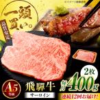 飛騨牛 サーロイン ステーキ用 400g