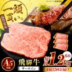 飛騨牛 サーロイン ステーキ用 1.2kg