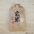 ななつぼし 玄米 約10kg