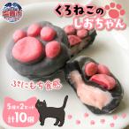 くろねこのしおちゃん 10個入