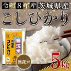 無洗米 米 コシヒカリ 5kg