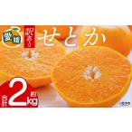 予定 ご お試し 芳醇 わけあり 果物 柑橘 フルーツ