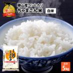 コシヒカリ 精米 5kg