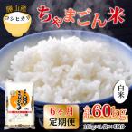 コシヒカリ 玄米 定期便 10kg×6回