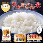 コシヒカリ 定期便 ちゃまごん米 5kg×6回