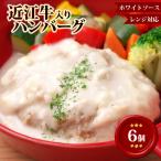 近江牛 入り ハンバーグ 6個
