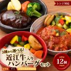 近江牛 入り ハンバーグ 12個 3種食べ比べ
