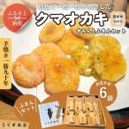 手焼きおかき 詰め合わせ6袋セット