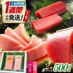対馬産 本マグロ 赤身中トロ 500g