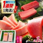 対馬産 本マグロ 赤身中トロ 1kg