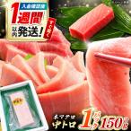 本マグロ 中トロ柵 1P 150g