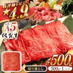 佐賀牛 切り落とし 500g