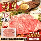 佐賀牛 ロース ステーキ 500g
