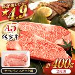 佐賀牛 A5 サーロイン ステーキ 400g