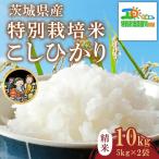 782 こしひかり 特別栽培米 10kg