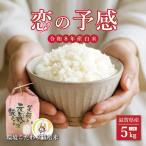 新米 恋の予感 白米 5kg