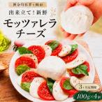 3ヶ月定期便 出来立て新鮮 モッツァレラチーズ100g 4個