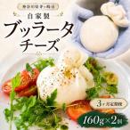 3ヶ月定期便 自家製チーズ ブッラータチーズ160g 2個