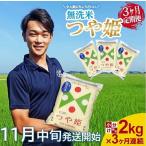 SB1035 特別栽培米つや姫 2kg×3回